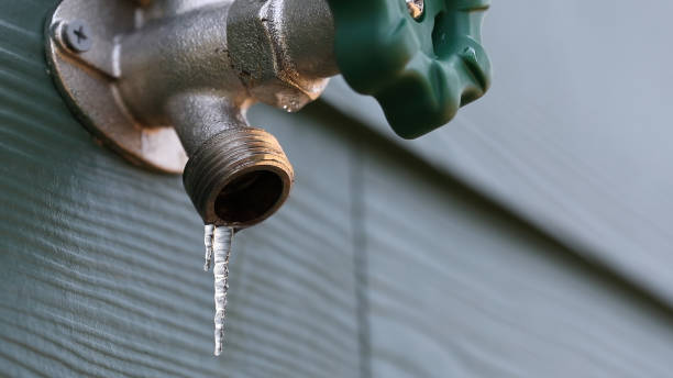 Best Plumbing Inspection Services  in Eddington, PA